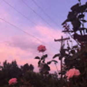 Meet your Posher, Sabine